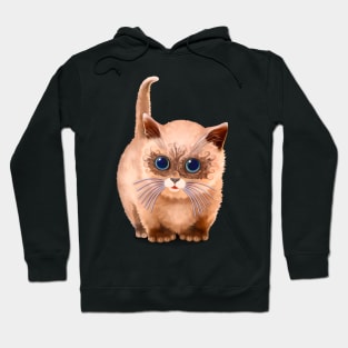 Siberian Cat /Neva Masquerade kitten Hoodie